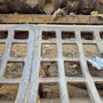 Terex TDS V20 Medium Speed Shredder