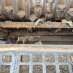 Terex TDS V20 Medium Speed Shredder