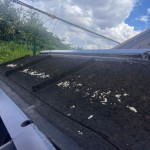 Arjes Impaktor 250 Electric Shredder