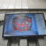 Plastics Shredding & Granulation System (Zerma Granulator & Vecoplan Shredder)