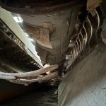 Doppstadt DW3060 Slow speed Shredder