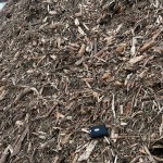 CBI Magnum Force 4800 horizontal grinder