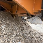 High Speed Shredder (Doppstadt AK430 Profi) High Speed Shredder (Doppstadt AK430 Profi)